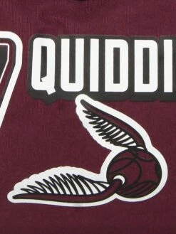 Sac Harry Potter Quidditch 48 Cm -SAMSONITE Boutique sac voyage dessins animes 820214z