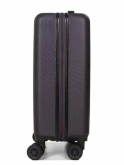 Valise Aérial Pet Shop Yorkshire 55 Cm -SAMSONITE Boutique valise aerial 625180z