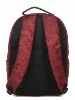 Sac à Dos Delsey Citypak Dome -SAMSONITE Boutique sac dos delsey 759012z