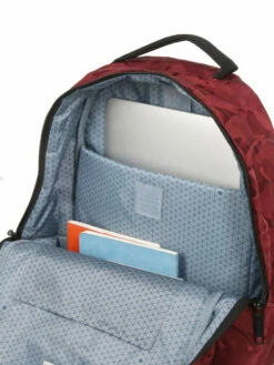 Sac à Dos Delsey Citypak Dome -SAMSONITE Boutique sac dos delsey 759017z