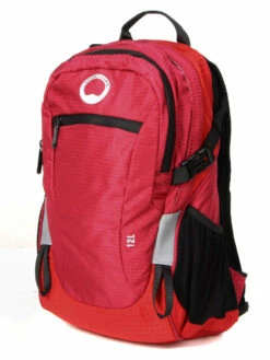 Sac à Dos Delsey Nomade S