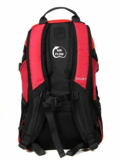 Sac à Dos Delsey Nomade S 20 Sac à Dos Delsey Nomade S -SAMSONITE Boutique sac dos delsey 787250z