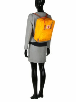 FJÄLLRÄVEN Sac à Dos Fjällräven Kanken Rainbow 30 FJÄLLRÄVEN Sac à Dos Fjällräven Kanken Rainbow -SAMSONITE Boutique sac dos fjallraven 679201z