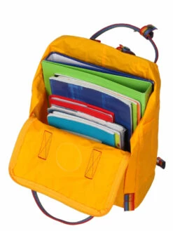 FJÄLLRÄVEN Sac à Dos Fjällräven Kanken Rainbow 27 FJÄLLRÄVEN Sac à Dos Fjällräven Kanken Rainbow -SAMSONITE Boutique sac dos fjallraven 679212z