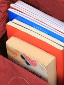 FJÄLLRÄVEN Sac à Dos Fjällräven Kanken Mini Rainbow 27 FJÄLLRÄVEN Sac à Dos Fjällräven Kanken Mini Rainbow -SAMSONITE Boutique sac dos fjallraven 790257z