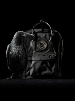 FJÄLLRÄVEN Sac à Dos Fjällräven Kanken N°2 Mini Black 35 FJÄLLRÄVEN Sac à Dos Fjällräven Kanken N°2 Mini Black -SAMSONITE Boutique sac dos fjallraven 799924z