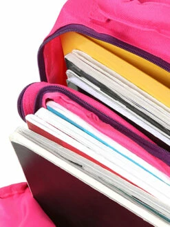 Sac à Dos Philéas Wild Zebre 23 Sac à Dos Philéas Wild Zebre -SAMSONITE Boutique sac dos phileas 866991z