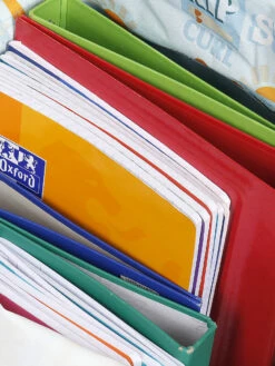 Sac à Dos Rip Curl Eco Island Life Dome + Trousse -SAMSONITE Boutique sac dos rip curl 760776z