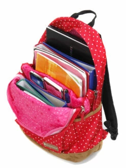 Sac à Dos Snowball Pois 25 Sac à Dos Snowball Pois -SAMSONITE Boutique sac dos snowball 698567z