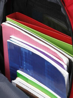 Sac à Dos Victorinox VX Sport Evo Daypack -SAMSONITE Boutique sac dos victorinox 755500z